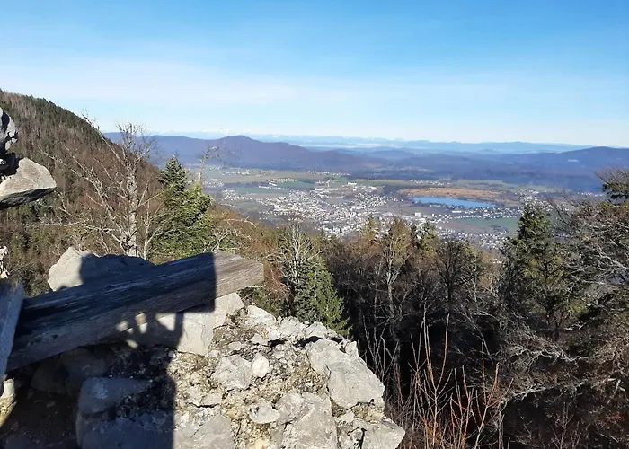 Gottscheelux Lejlighed *